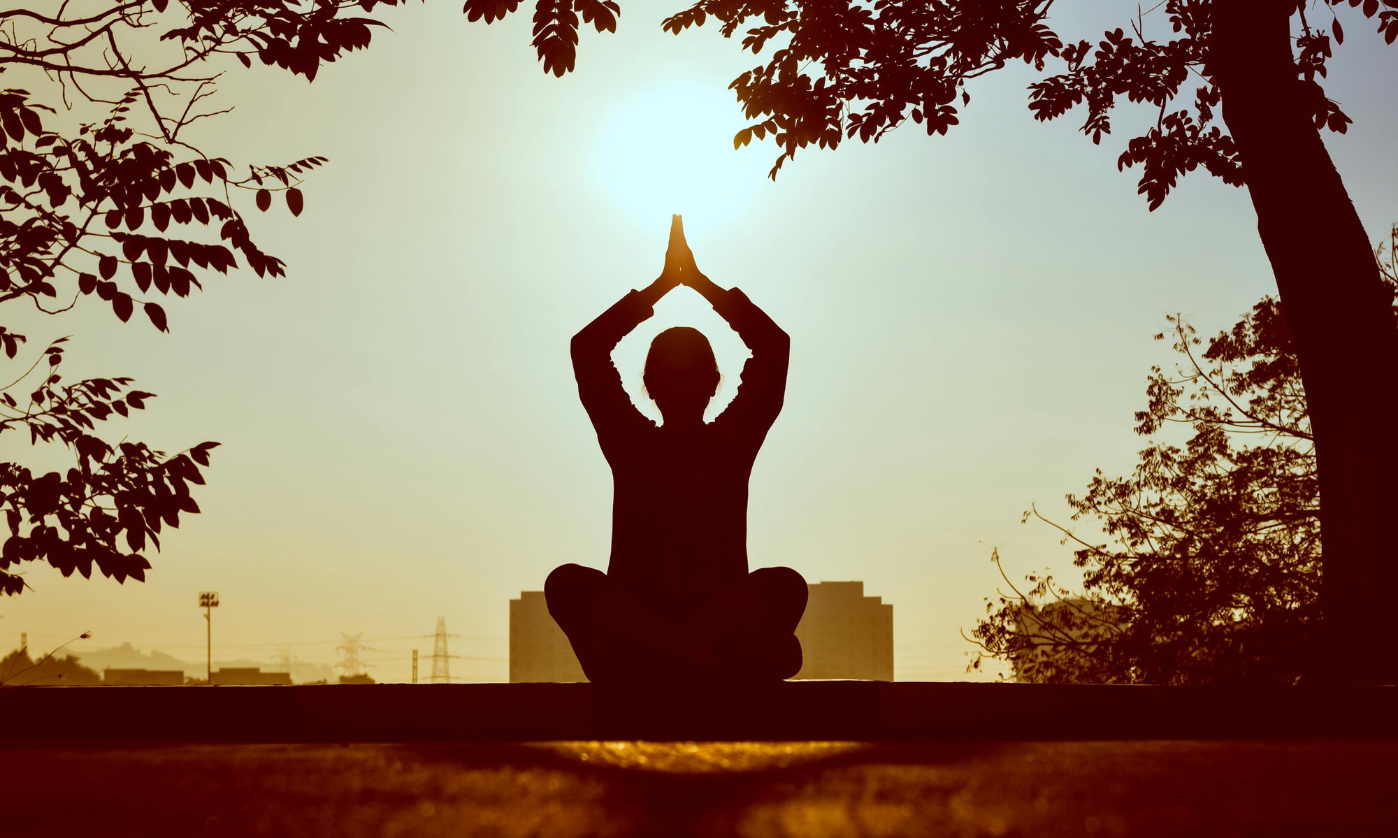 : Donna seduta in posizione di meditazione su una roccia, circondata dalla natura, con luce solare che illumina la scena.